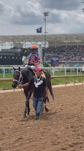 The Alysheba Stakes was no problem for #BreedersCup Champ Fierceness. 🏆 | Breeders' Cup World Championships