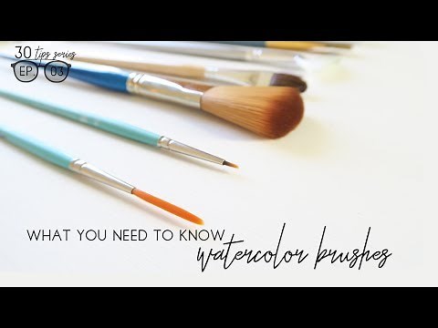 Watercolor Brushes? Everything You Need to Know. (Beginner's Series EP. #03)