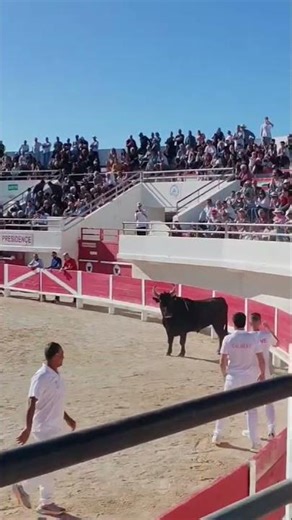 Splendide action de Vicaire sur Lopez 🐂😱 Saintes Maries de la Mer 5.4.26.