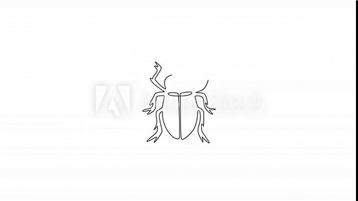 Animated self drawing of single continuous line draw adorable beetle for company logo identity. Tiny bug mascot concept for insect lover club icon. Full length one line animation illustration.