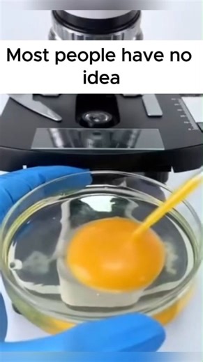 David Wolfe on Reels