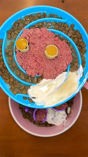 Fresh food kibble toppers for your dog 🍳🐕 Manchester #dogs #dogmom #dogfood #rawfeddog #dog #manchesterpartner #dogtreats #kibble #reels #dogtips #doglover #puppy | Kayla Kowalski Nutrition