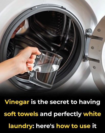 Yes, vinegar allows you to clean the washing machine thoroughly: here's how to use it 😊👇 | Fresh News Today