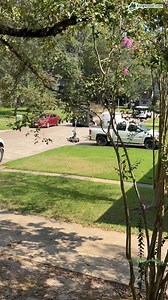 399K views · 3.2K reactions | Breaking Kingwood Video: Swat and police robots now in Kingwood (Shadow Rock Drive): | Kingwood .com | Facebook