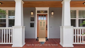 Dwarf Alberta Spruce Live Shrub