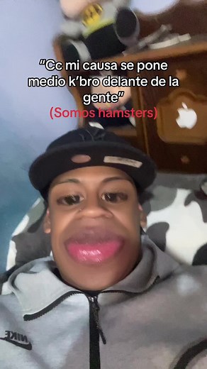 Funny Hamster Videos Compilation | Cute Hamster Bloopers