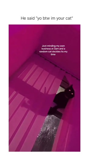 claim Amazon gift card from byo 🫂