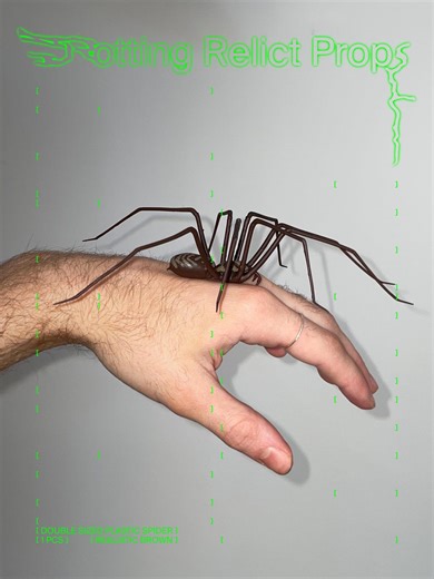 Giant Plastic Spider as Decoration | Double Sized Realistic Giant House Spider | Halloween Prop | 1 Pcs - Etsy UK