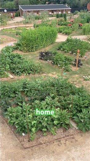 Visit "Le Potager Extraordinaire" 🍅 Tour de France of Vegetable Gardens