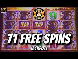 71 Free Spins - Max Bet JACKPOT on Buffalo Gold Slot Machine