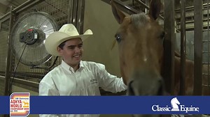 3K views · 211 reactions | More fun AQHYA World 50th anniversary trivia and a youth who’s continuing the legacy of two horsewomen in tonight's Gold Globe Report, presented by Classic Equine. | American Quarter Horse Association | Facebook