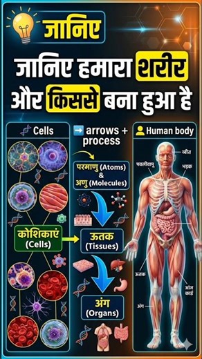 Know how and what our body is made of? #HumanBody #BiologyHindi #ScienceHindi