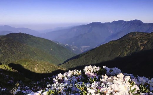 《为“爱\u002F艾”前行》凉山州艾防公益行动预防艾滋病母婴传播试点项目纪实片（六集）——中国性病艾滋病防治协会