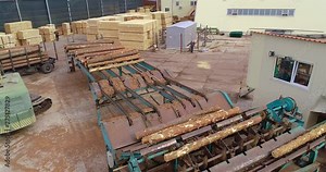 Crane unloads logs on the sorting line. Automated log sorting at a sawmill, aerial view. Automated log sorting line
