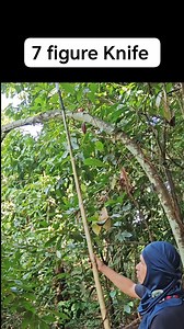 53K views · 239 reactions | Matalas pa sa dila ng mga Marites #fbreel #cacoa #rejuvenation #fypシviralシ2024 | CACAO tutorial ni JM | Facebook