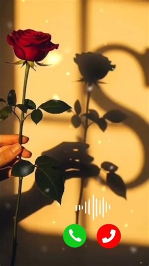 New lovely ringtone 💞 best ringtone love 😘 Hindi ringtone 😘#shorts #treding #ringtone #music #love