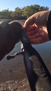 @rogue.fishing1 getting covered in mud and slime couldn't be happier about it 😂 82cm flathead on 8lb leader off the top. #relaesed So sic man!! Fill video on his YouTube#flathead #surface #esturay #dusky #duskyflathead #fishnsw | Fish NSW