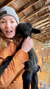 Baby lamb snuggles 🥰