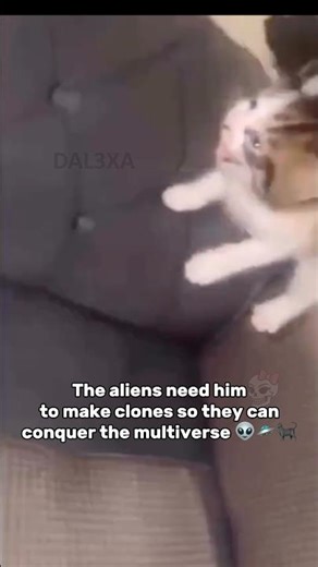 Alien invasion 👽#nowary