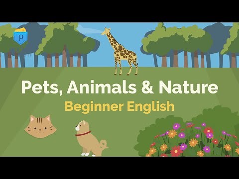 Pets & Animals | Beginner English