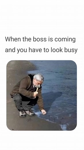 #Daily#funny#memes#part#201#viral #fypシ #fyp #work