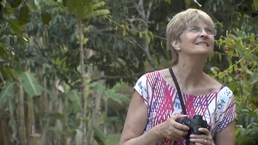 Meet the birds of Belize - 60 birds you'll likely spot in the wild