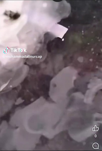 SpongeBob Patrick at Squidward: Pakulam Comedy Moments