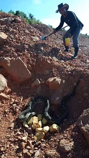 1.4M views · 2.7K reactions | Gemstones, gems ,expensive, diamond #amazinggold #shorts #tricks #tips #treasure #hunting #hunter #findgold #treasure #findinggold #treasurehunting #gemstones #gemstone #most #valuable #gemstones #most expensive #crystals #mostexpensive #gemstones #snake #python #holesnake #bigsnake | MY CAT | Facebook