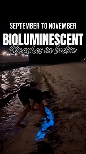 6.2M views · 37K reactions | Bioluminescent Beaches in India: The...