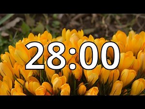 28 Minutes Timer with Music | Spring Timer