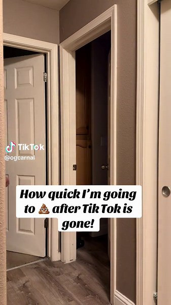 Life After TikTok: What Comes Next?