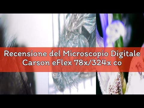 Recensione del Microscopio Digitale Carson eFlex 78x/324x con Luce LED, Supporto Flessibile e Base,