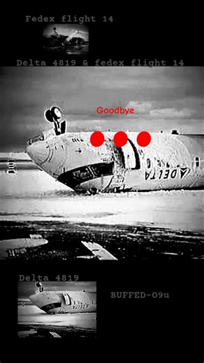 delta 4819 & Fedex flight 14