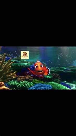 Nemo chasing the bubbles