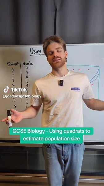 GCSE Biology: Estimating Population Size with Quadrats