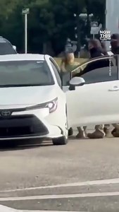 50K views · 869 reactions | Vedete se qualche faccia di forza gioggia si indigna per queste immagini. Eppure dovrebbe, visto che si tratta di Donna bianca e cittadina statunitense. Ci rendiamo conto di quello che sta succedendo? | Compagni | Facebook