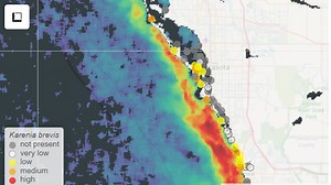 Red tide reaches Manatee County; all Sarasota County beaches under advisory