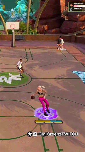 Understanding Gamer Culture in 2K Community