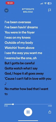 Billie Eilish Bittersuite Lyrics