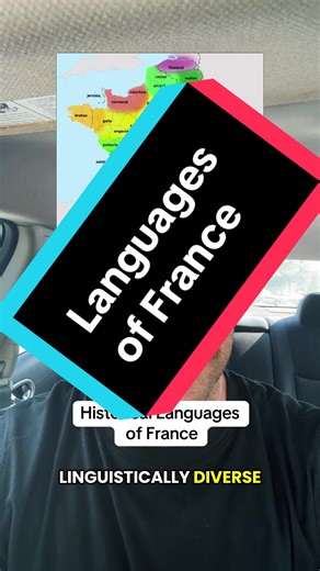Historical Languages of France and Their Significance