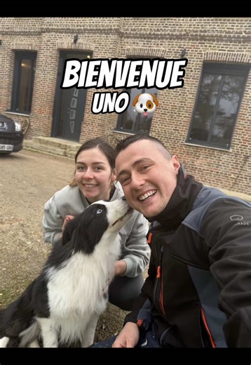 Une histoire incroyable… 🐶 Cela fait maintenant 3 mois que nous habitons dans notre maison, et nous souhaitions adopter un chien… 🦴 Mais pas n’importe lequel : pas forcément un chien d’élevage, plutôt un chien abandonné ou avec une histoire à raconter. Il y a quelques jours, nous sommes tombés sur UNO, un border collie de deux ans et demi, à donner. Son histoire nous a beaucoup touchés, à Lulu et à moi : une famille qui a dû s’en séparer avec beaucoup de courage, suite à une épreuve difficile 