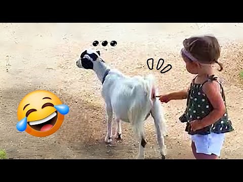 Top 100 Funniest Moments Ever 😂🤣 | Funny Videos Compilation 2025 😂 | Try Not To Laugh #2