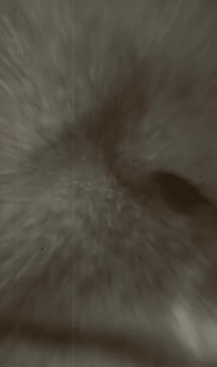 345.Truth Behind Horvath’s Soil Collection Scene in Saving Private Ryan #fblifestyle | Pudas Kristina