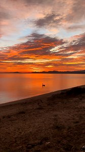 La Ventana B.C.S 🌅🧡🌅 Es despertar con el sonido del mar, sentir la brisa que limpia el alma y mirar cómo el sol pinta de oro el desierto. Aquí el tiempo se detiene, la calma se vuelve hogar y uno recuerda lo esencial: respirar, agradecer y simplemente ser. 🌅🌊 #fblifestyle #playa #fyp #travel #photography | Baja California Sur México