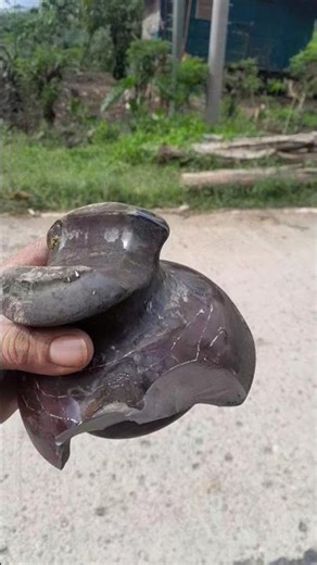 Replace broken pin type insulator. #poletop #maintenance #ulap #fypspotted #fypシ゚viral #shortvideo