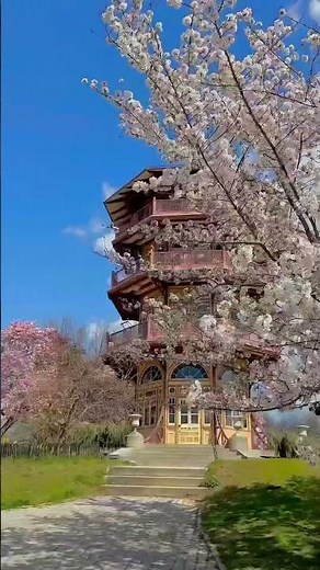 Things to do in Baltimore, Maryland- Patterson Park