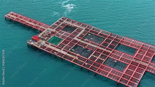 A large mussel farm shows structures and nets set up in the sea for growing and harvesting shellfish. The farm is active with workers handling the equipment in the water.
