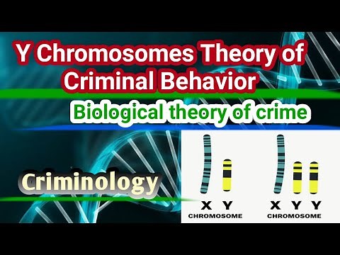 Y Chromosomes Theory of Criminal behavior || Biological theory of crime || Myth of Supermale