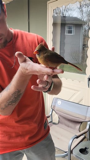 What a Thanksgiving! Didn't expect this to happen. After losing both of our dads and his gma this past year, today brought some comfort in the reminder that He is close to the broken hearted 🥹♥️ | Amanda Cook