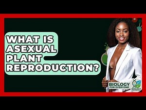 What Is Asexual Plant Reproduction? - Biology For Everyone